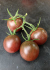 Tomato, 'Black Cherry'